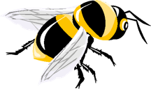 unbeelievable Bine – unser Logo